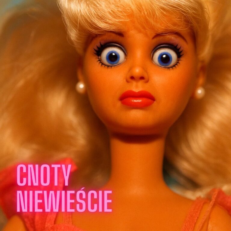 Okładka „Cnoty niewieście”